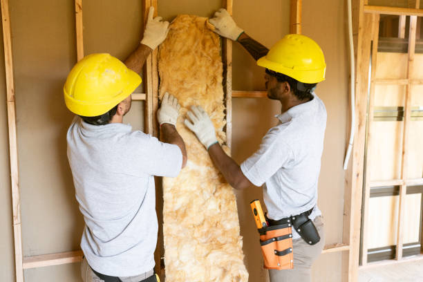 Best Eco-Friendly or Green Insulation Solutions  in USA